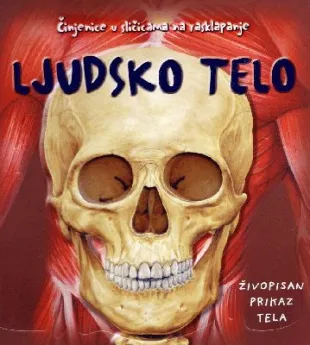 ljudsko telo 