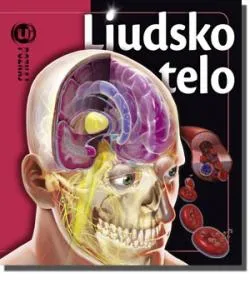 upoznaj ljudsko telo linda kalabrezi