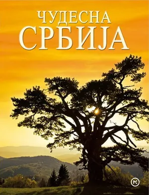 čudesna srbija dragan bosnić