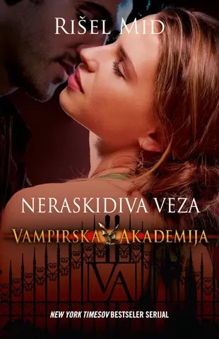 neraskidiva veza vampirska akademija rišel mid