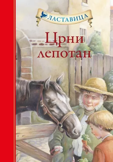 crni lepotan ana sjuel