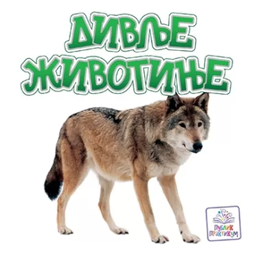 divlje životinje jasna ignjatović