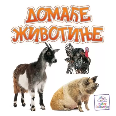 domaće životinje jasna ignjatović