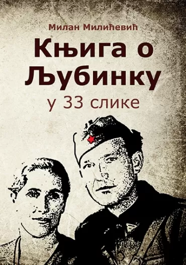 knjiga o ljubinku u 33 slike milan milićević