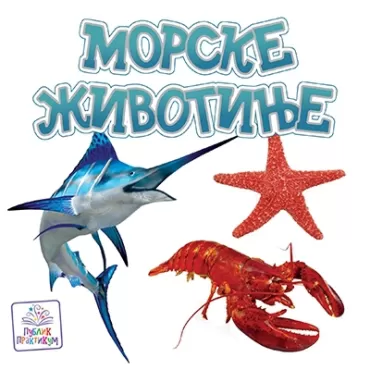 morske životinje jasna ignjatović