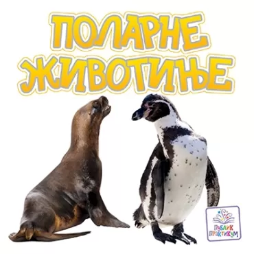 polarne životinje jasna ignjatović
