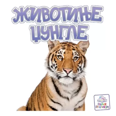 životinje džungle jasna ignjatović