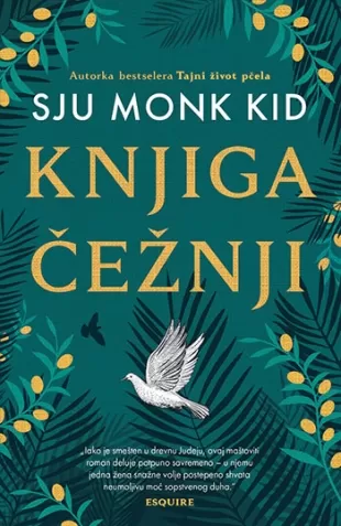 knjiga čežnji sju monk kid