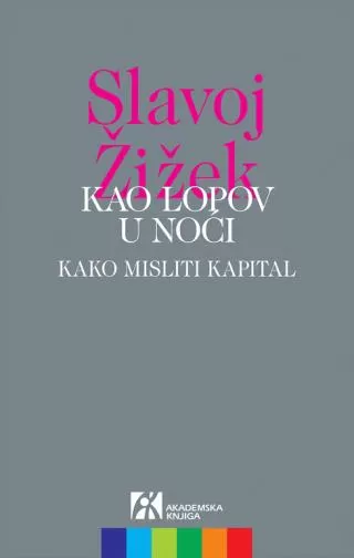 kao lopov u noći slavoj žižek