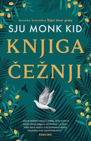 knjiga čežnji sju monk kid