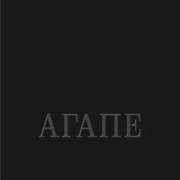 agape dragan vukašinović