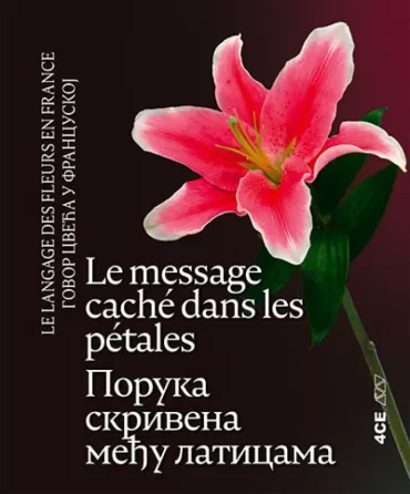 poruka skrivena među laticama le langage des fleurs en france dubravka savić
