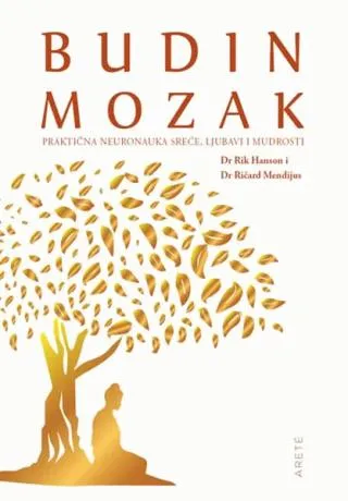 budin mozak rick hanson richard menduis